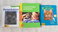 KATZE Katzenbücher Katzenkinder Wohnungskatzen Perserkatzen Dresden - Klotzsche Vorschau