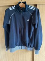 Sweatjacke Adidas Bayern - Dingolfing Vorschau