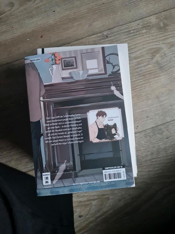 Verschiedene Manga in Billerbeck