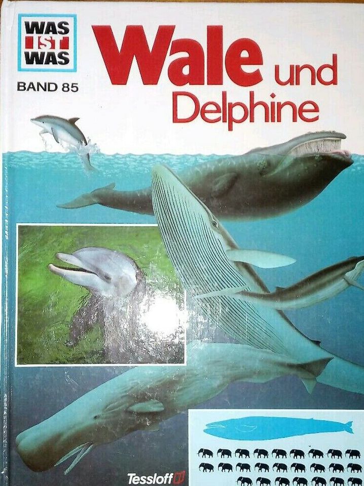 WAS ist WAS / Band 85: Wale und Delphine in Bardowick