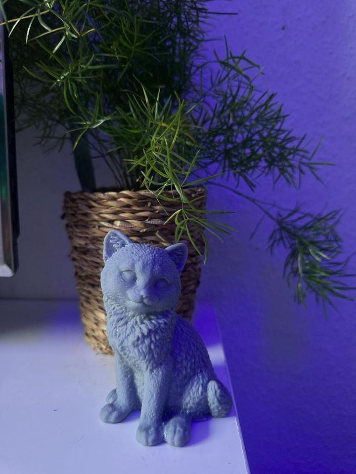 Katzenstatue aus Harz in 4K-Auflösung 3D Druck in Mannheim