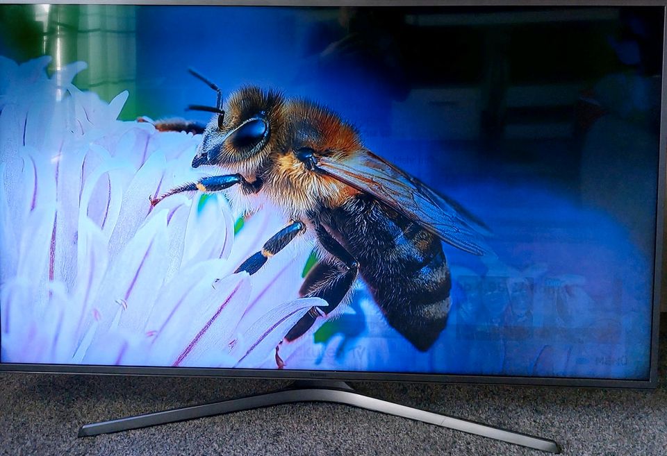 Samsung LED Smart TV 55 Zoll in Neubrandenburg