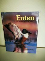 Enten die faszinierende Welt der Enten, Karl Müller Verlag Brandenburg - Wittstock/Dosse Vorschau