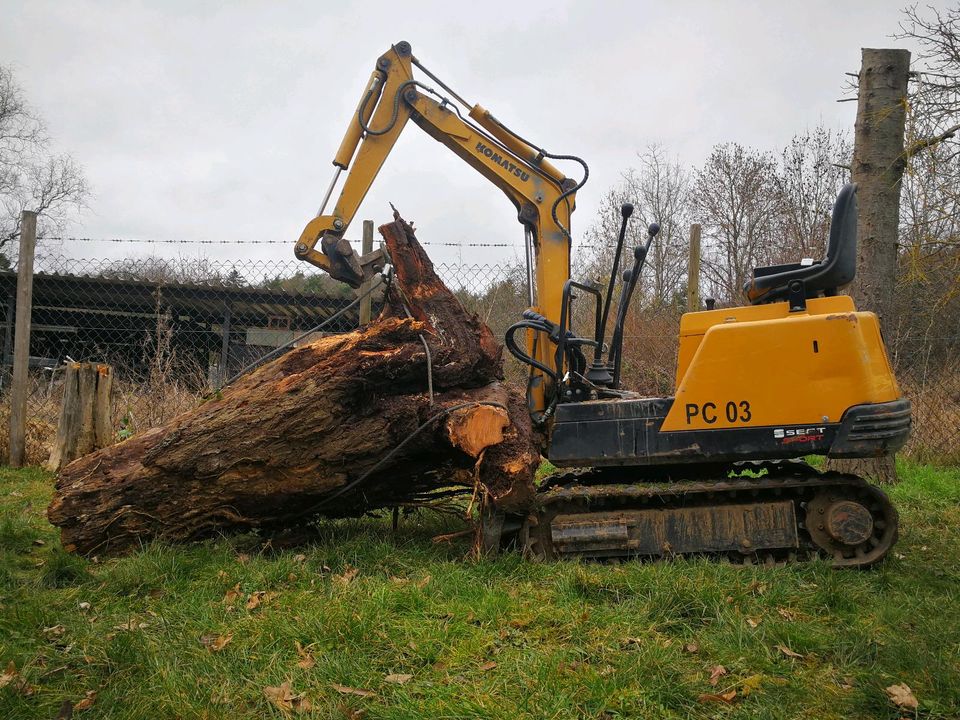 Minibagger / Bagger Mieten 0,8 to. im Rheingau in Geisenheim