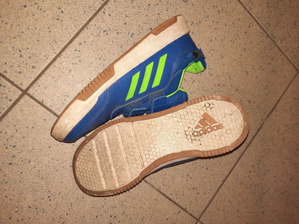 Sneaker Adidas 40 blau Jungen Halbschuhe in Köln