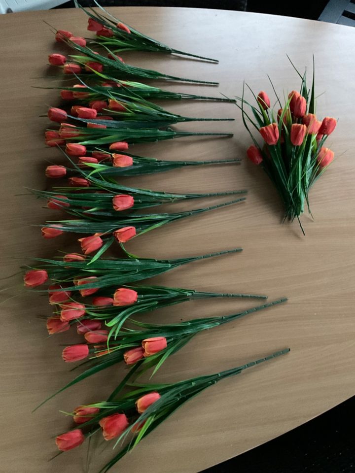 Neu 12 Sträuße orangefarbener TULPEN pro Strauß 5 Tulpen in Emlichheim