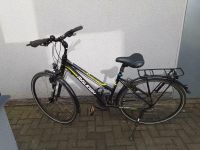 Raleigh  Fahrrad schwarz/gelb Saarland - Wallerfangen Vorschau