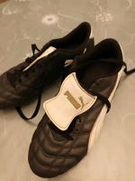 Fussballschuhe Puma grösse 40 Niedersachsen - Wiesmoor Vorschau