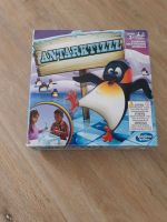 Antarktizzz von Hasbro Kinderspiel Nordrhein-Westfalen - Detmold Vorschau