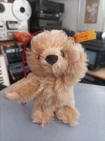 Steiff Teddy unbeweglich 12cm Bayern - Augsburg Vorschau