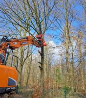 Baumschere, Fällgreifer PW 350, Vermietung Nordrhein-Westfalen - Borchen Vorschau