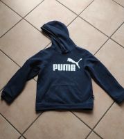 Pullover Puma Baden-Württemberg - Markdorf Vorschau