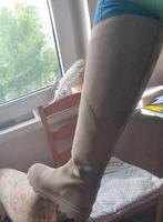 Lederstiefel,  hellbeige, Bikerboots, 42, Echtleder! Kreis Ostholstein - Süsel Vorschau