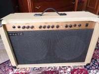 Gitarre/ bousouki Verstärker amp 100watt (Korea) München - Hadern Vorschau