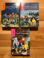 Fünf Freunde Bücher Baden-Württemberg - Ostfildern Vorschau