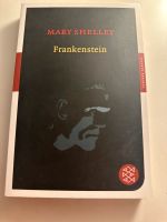 Frankenstein Roman Rostock - Lütten Klein Vorschau