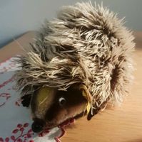 Joggi Igel Original Steiff Nr. 1670/17 Schleswig-Holstein - Wilster Vorschau