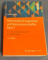 Mathematik für Ingenieure und Naturwissenschaft Fachbuch Papula Baden-Württemberg - Geislingen an der Steige Vorschau