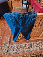 Jeans blau Toni Dress Baumwolle Größe 48 Niedersachsen - Visselhövede Vorschau