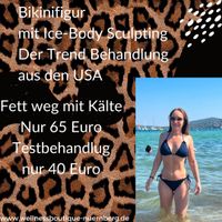 Bikinifigur durch Ice-Body Sculpting Behandlung Nürnberg (Mittelfr) - Oststadt Vorschau