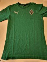 T-Shirt Borussia Mönchengladbach Nordrhein-Westfalen - Übach-Palenberg Vorschau