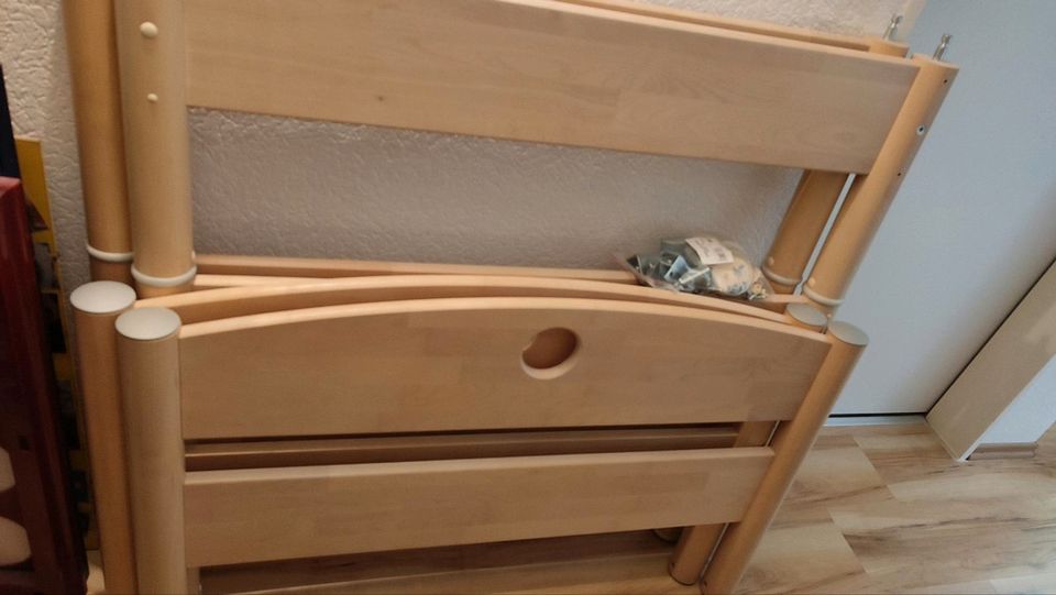 Paidi Fleximo Hochbett Jugendbett 155cm Birke Lattenrost in Unna