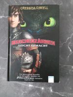 Original Drachen Zähmen  Buch Leicht gemacht Sachsen - Freiberg Vorschau