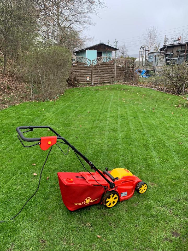 Garten in liebevolle Hände abzugeben in Dresden Pieschen Grundstück