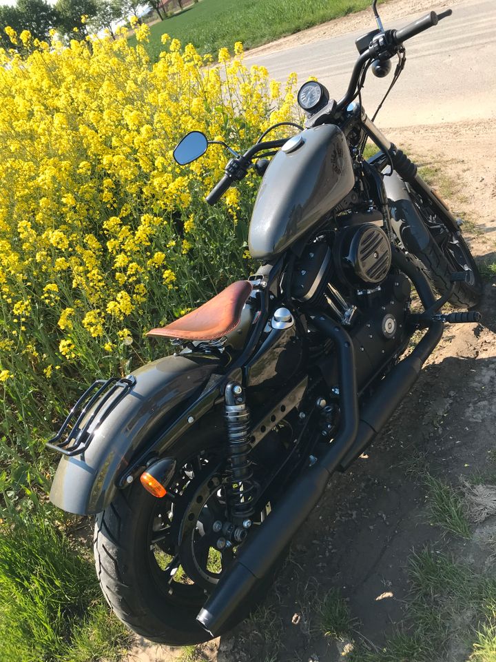 Harley Davidson Sportster Iron XL883N in Kaarst