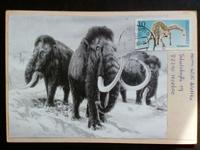 DDR Elefant Postkarte mit Dinosaurier Briefmarke Sachsen - Hohndorf Vorschau