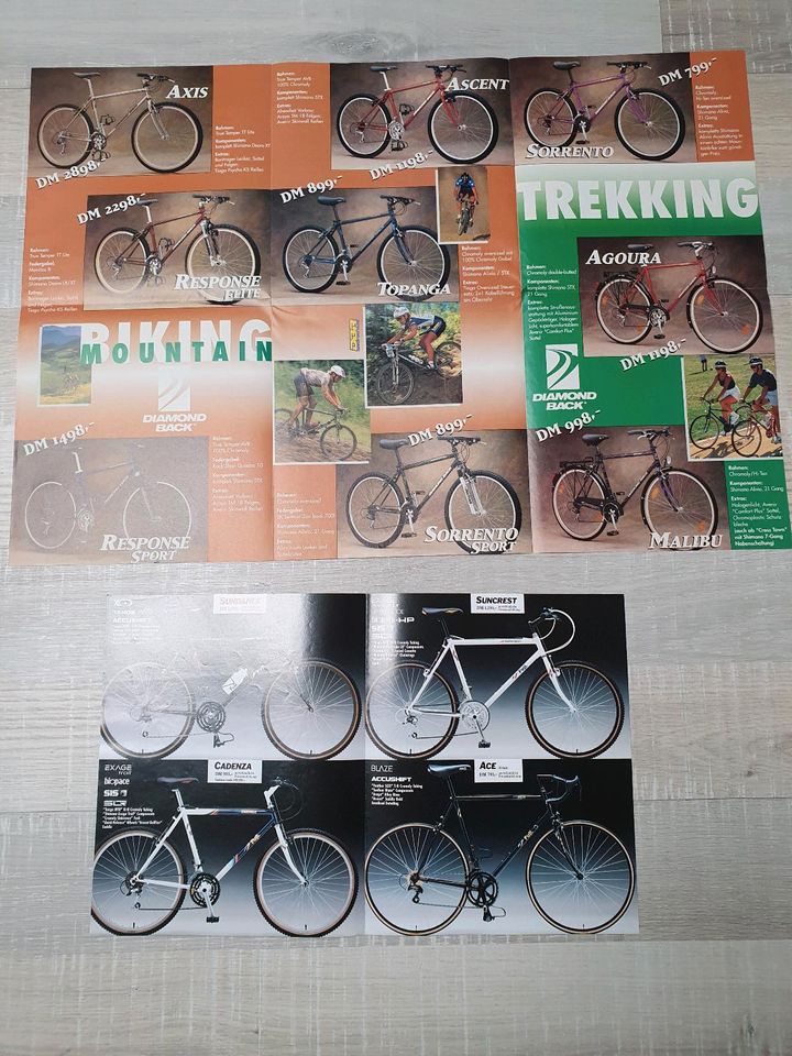 Katalog Fuji 1989, Diamond Back Mountainbike, NOS, ansehen in Schwabach