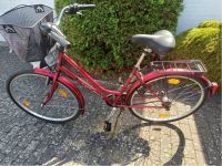 Top-Bike Damenfahrrad 28 Zoll Nordrhein-Westfalen - Enger Vorschau