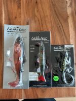 Dunwright Castaic MuskyMania Swimbait Hecht Musky BigBait Baden-Württemberg - Tamm Vorschau