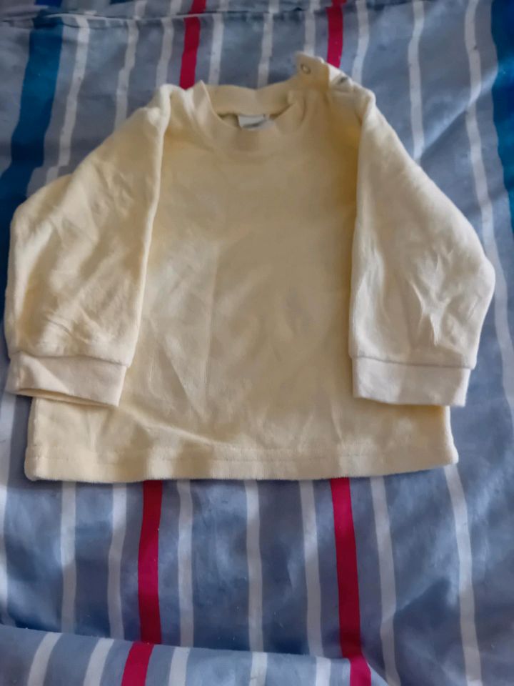 Gelber Pullover in Delitzsch