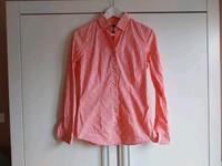 Bluse Cavallaro Napoli Gr. 38 Nordrhein-Westfalen - Rheine Vorschau