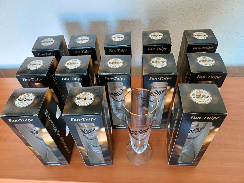 Glas Bierglas Warsteiner Fan-Tulpe neu Fan-Editon in Bismark (Altmark)