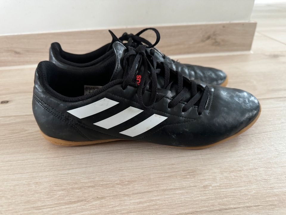 Adidas Hallenschuhe Gr. 43 1/3 in Meinersen