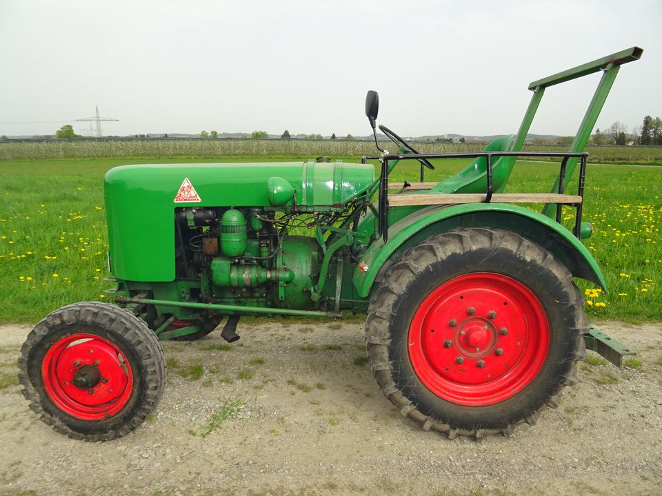 Fendt Dieselross F25 P Oldtimer Traktor Bj.1950 ZF A15 MWM KD415Z in Meckenbeuren