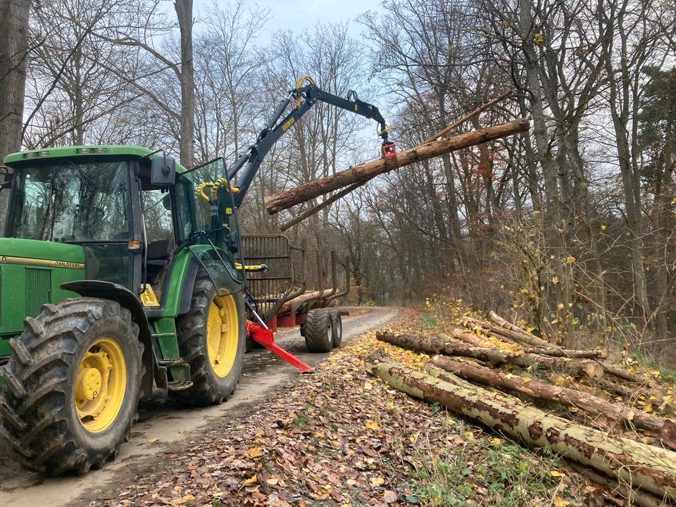 Stammholz/Brennholz Transport in Heidenrod