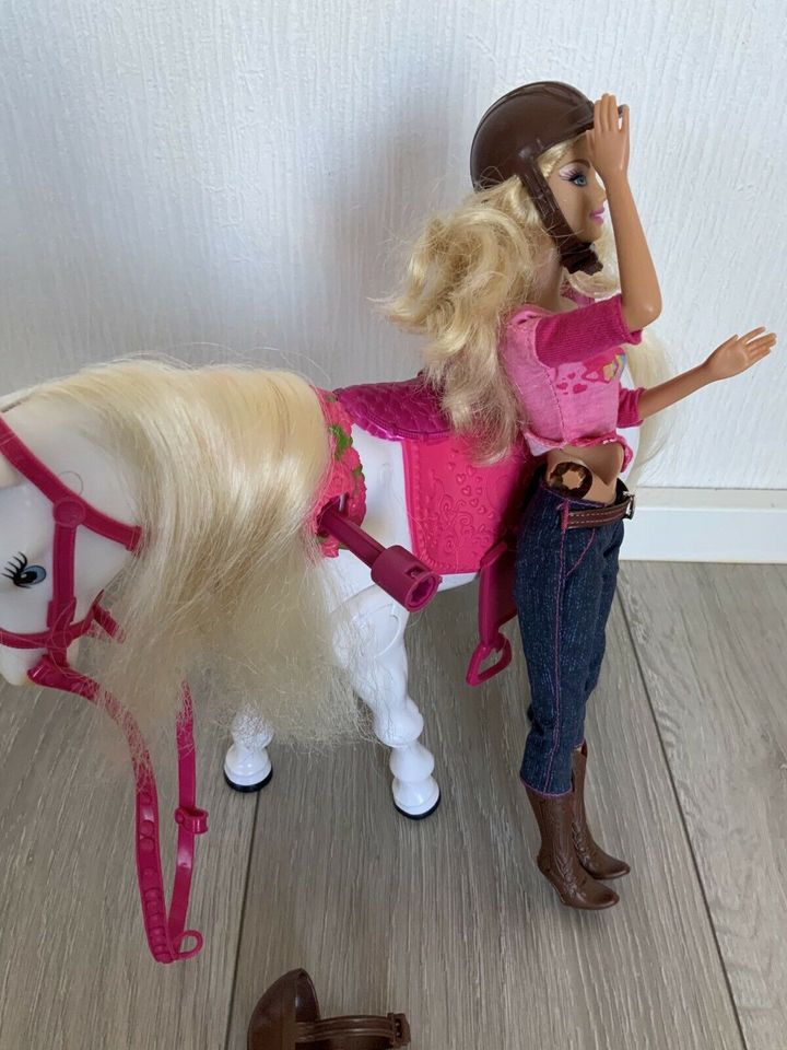 Mattel  Barbie & Tawny Pferd in Wabern