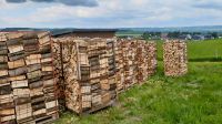 Brennholz Kaminholz Feuerholz Holz Nordrhein-Westfalen - Euskirchen Vorschau