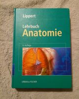 lippert lehrbuch anatomie Dresden - Laubegast Vorschau