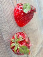 Zwei Erdbeeren Kerzen ideal für Erdbeeren Fest Rheinland-Pfalz - Koblenz Vorschau