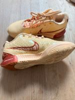 Nike LeBron 21 XXI Dragon Pearl Gr.42,5 Berlin - Reinickendorf Vorschau