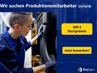 Produktionsmitarbeiter (m/w/d) in Rheine gesucht Nordrhein-Westfalen - Rheine Vorschau