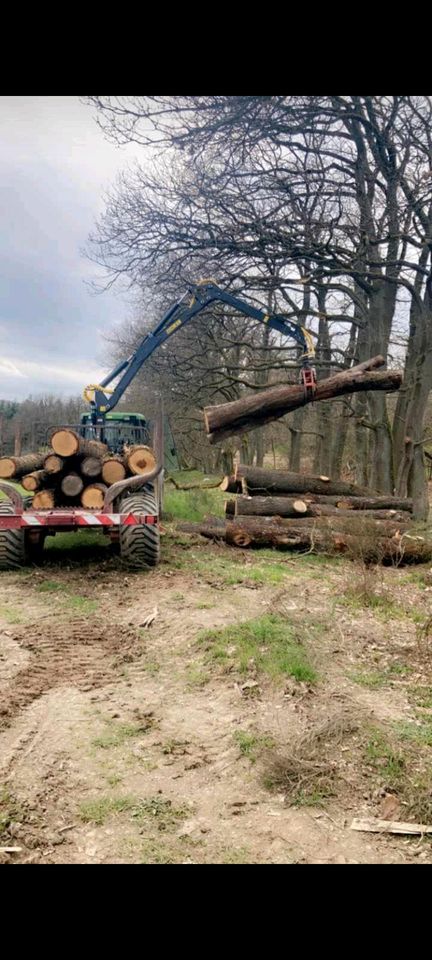 Stammholz/Brennholz Transport in Heidenrod