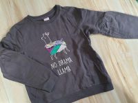 Coolclub Sweatshirts, Lama grau, Wendepailetten, Gr. 128 Sachsen - Ehrenfriedersdorf Vorschau