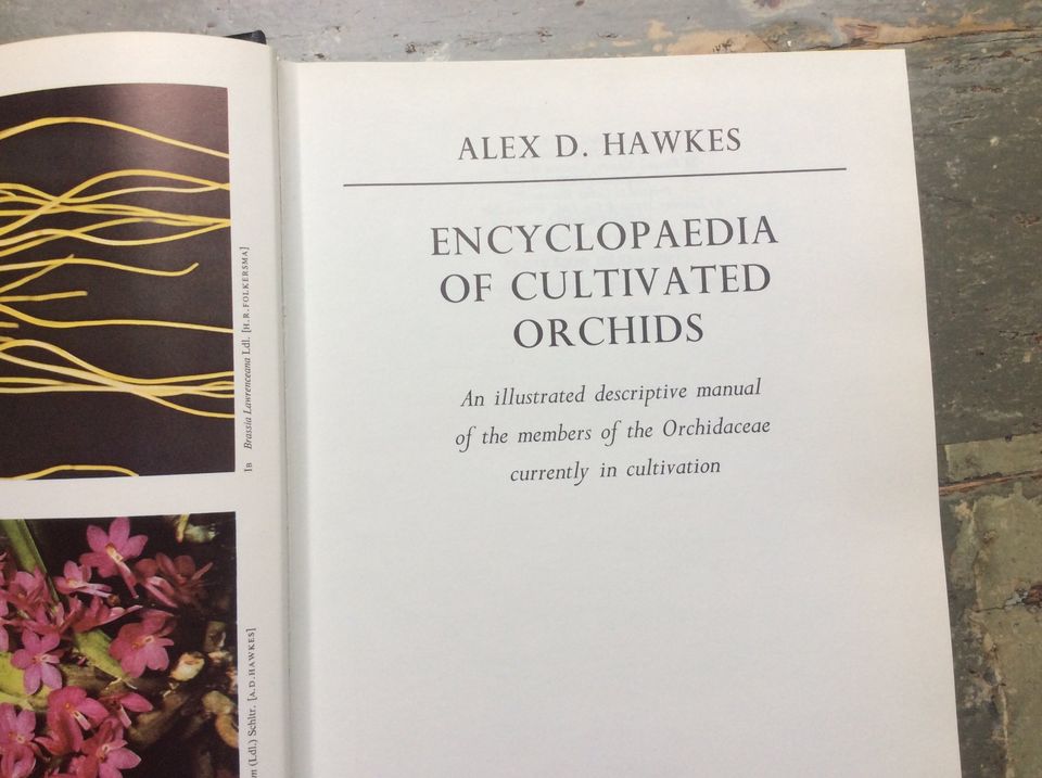 Alex D. Hawkes: Encyclopaedia of cultivated orchids, englisch in Berlin