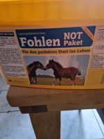 Marstall Fohlen Not Paket Niedersachsen - Garrel Vorschau