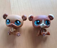 Littlest Pet Shop 2 Bären Baden-Württemberg - Oberhausen-Rheinhausen Vorschau